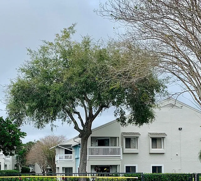 Lakeshore At Altamonte Springs — Photo 6