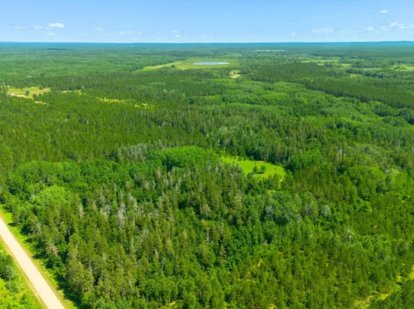 TRACT 3 259th Ave, Menahga, MN 56464