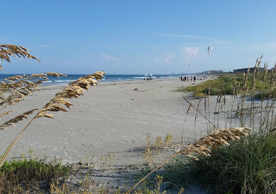 Beach Sea Oats, Beach & Osh