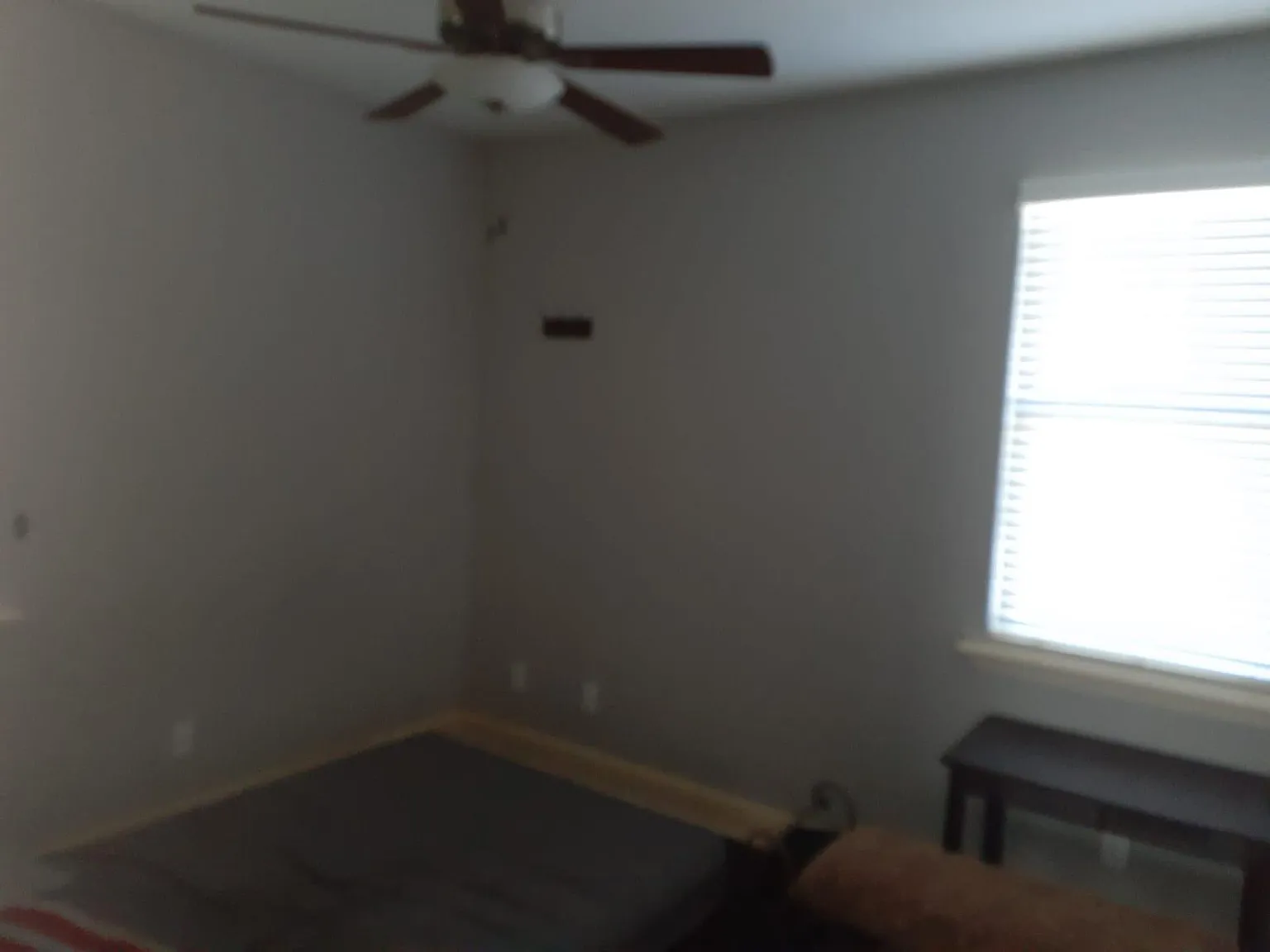 Sierra Woods Ln, Tallahassee — Photo 4