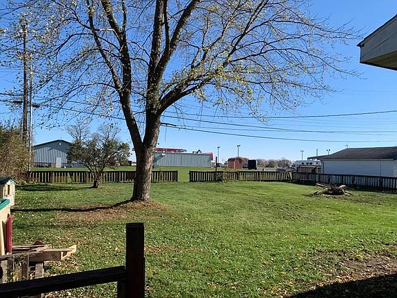 Backyard - looking out