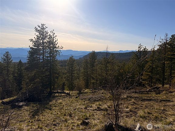 5th image of 34 Morgan Mountain Trail