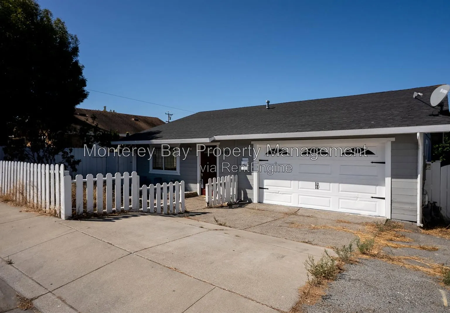 3 bed, 2.0 bath, 954 sqft, $3,800 — Photo 2