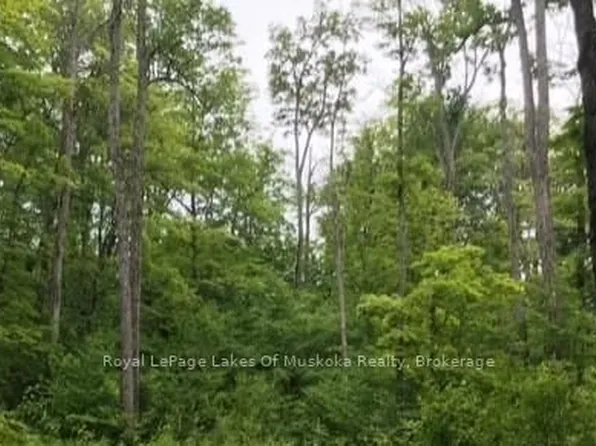 1154 Delia Rd, Bracebridge, ON P0B 1L0