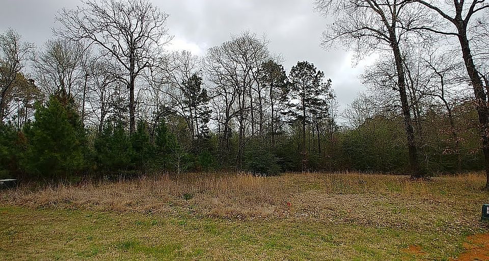 2nd image of Leaning Oak Dr