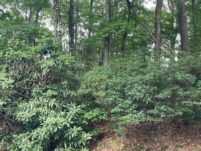 Tbd Dogwood Trl, Hillsville, VA, 24343