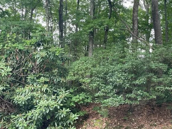 Tbd Dogwood Trl, Hillsville, VA 24343