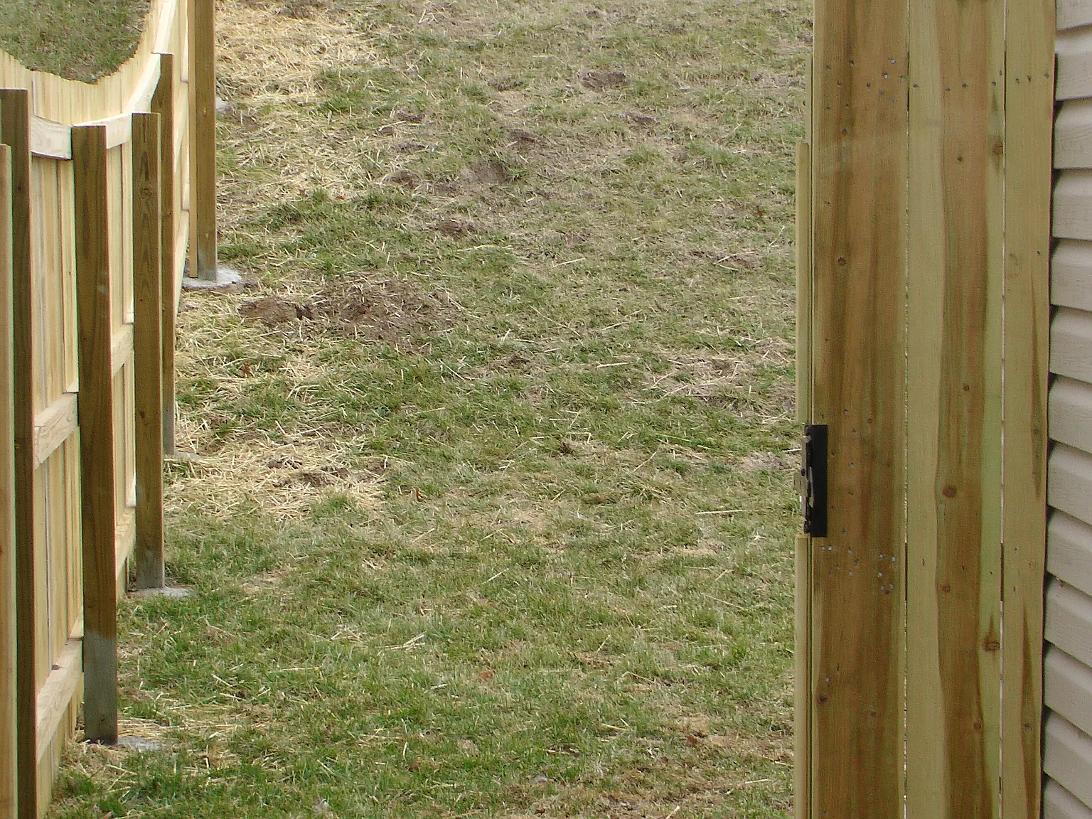 4 bed, 1367 sqft, $1,500 — Photo 3