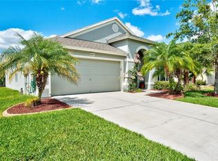 30337 Princess Bay Dr, Wesley Chapel, FL 33545