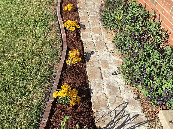 Front flowerbed w/perennials