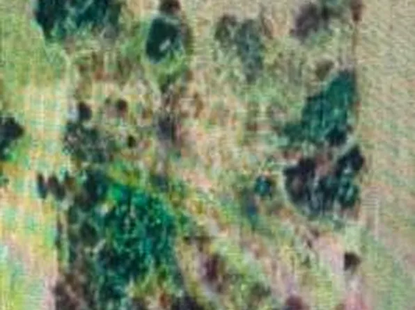 (undisclosed Address), Mannford, OK 74044
