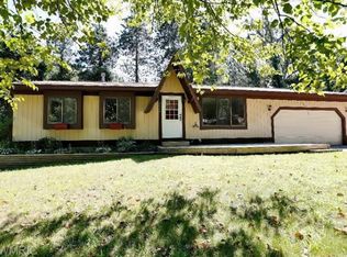 15678 Chestnut Ln, Spring Lake, MI 49456