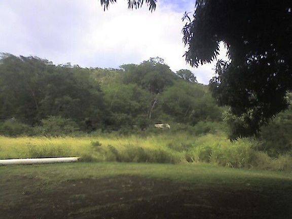 1.6 Acres - Backyard