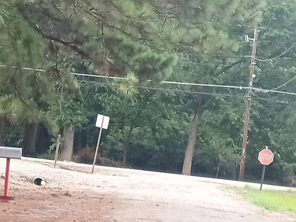 5th image of 110 Holt Ave