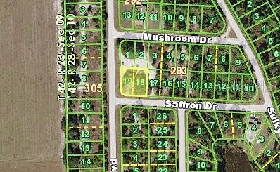 2nd image of 27028 Saffron Dr