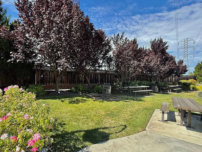 43845 Paso Pino Cmn — Photo 19