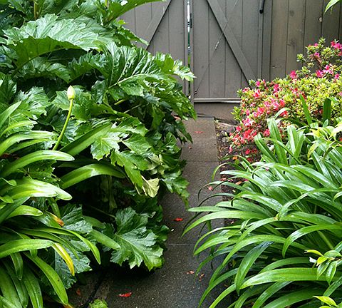 Tenant path in summer