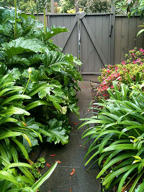 Tenant path in summer