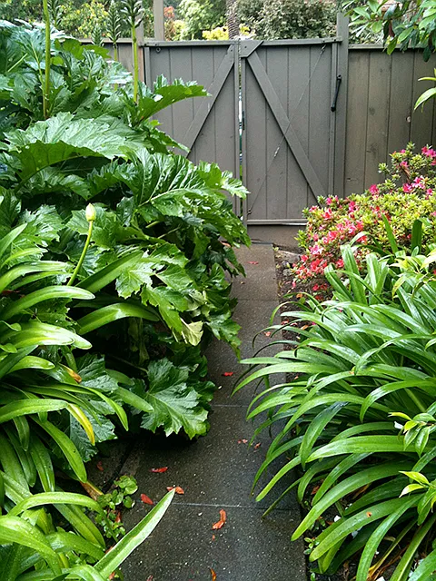 Tenant path in summer