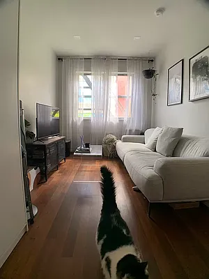 Rented by NorthStar REG LLC | media 13