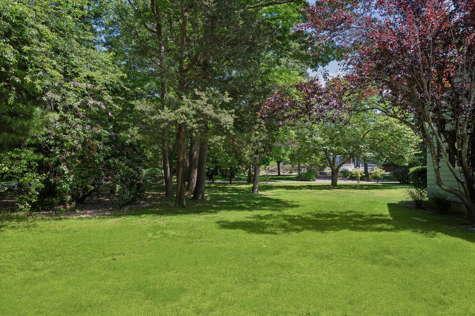  Large Side yard