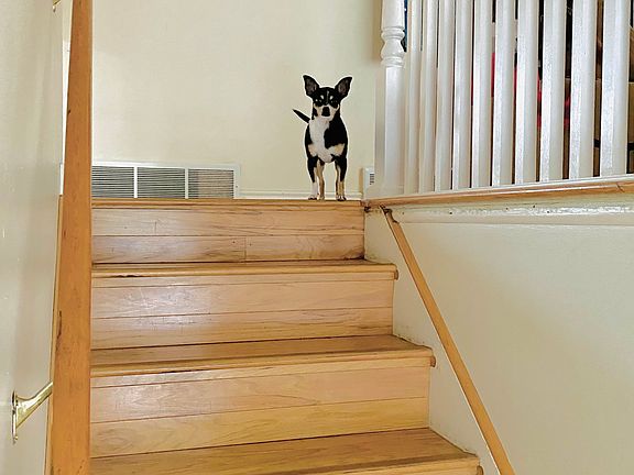 Cutest house manager