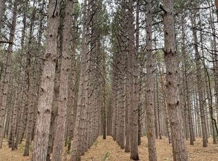 Cherry St, Manistee, MI 49660