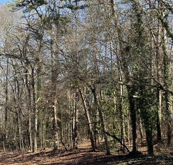 1st image of 1C Greenville Dr
