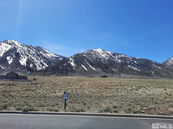 333 James Canyon Loop, Genoa, NV 89411