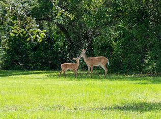 890 Four Wheel Ln, Geneva, FL 32732