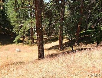 2nd image of 30696 Ferndale Dr.