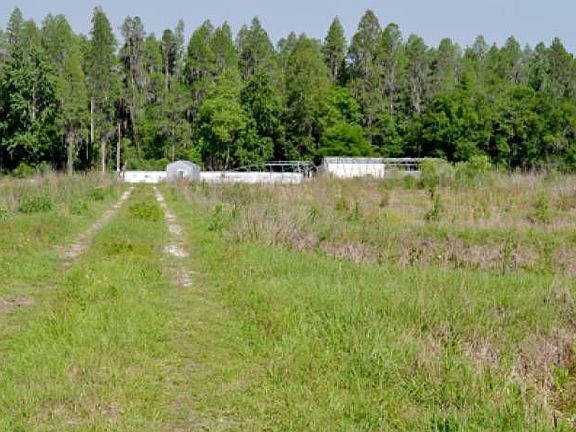 2nd image of 11002 Ponderosa Ln