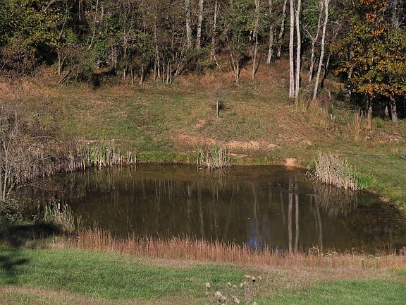 Stocked Pond