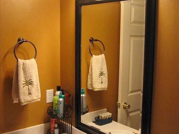 Master bath tub/shower combo