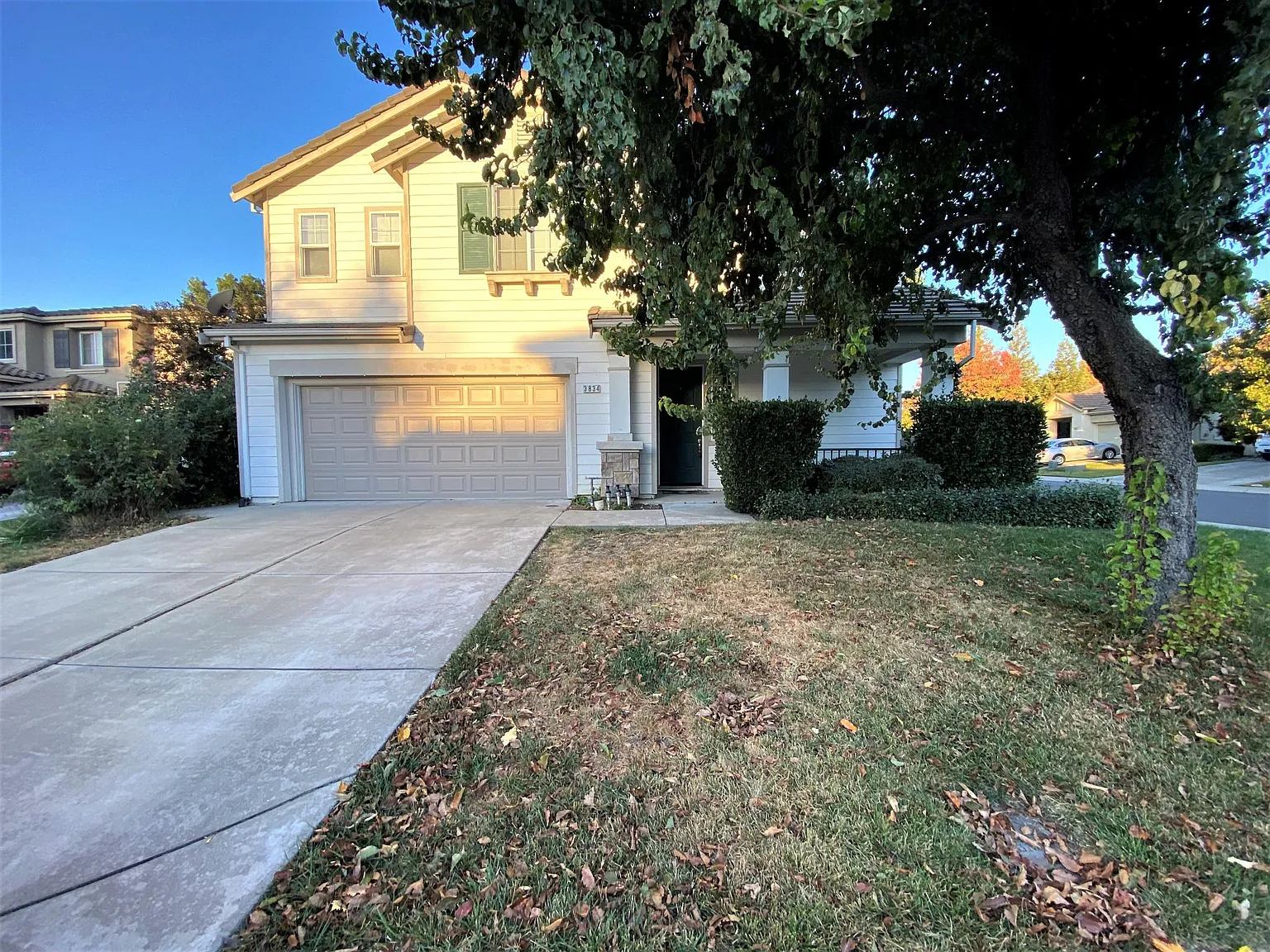 3834 Condor Ct photo 1
