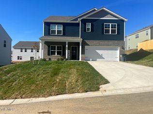 1109 Twelve Oaks Ct, Blountville, TN 37617