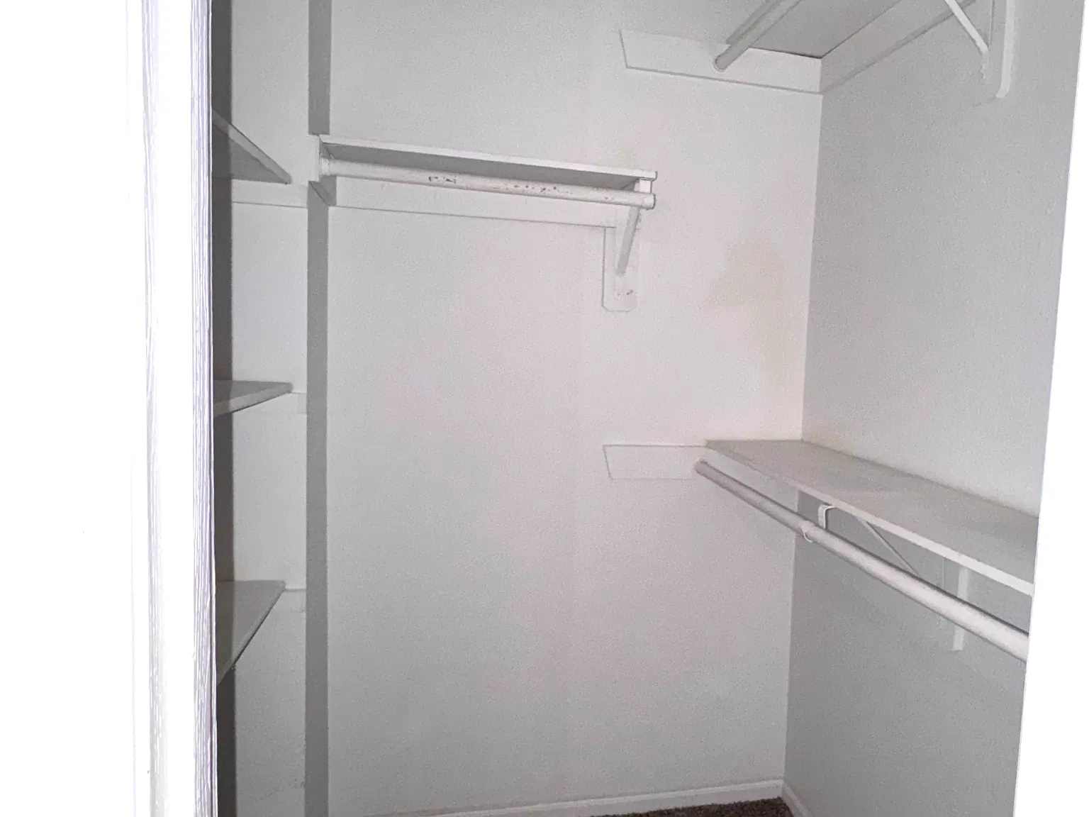2 bed, 1.5 bath, $1,350 — Photo 4
