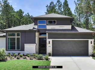 17816 Parnassum Path, Conroe, TX 77302