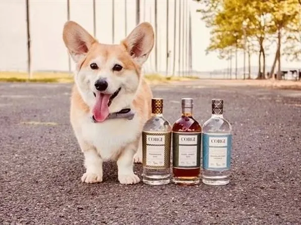 260 Randolph Avenue image 31 of 33