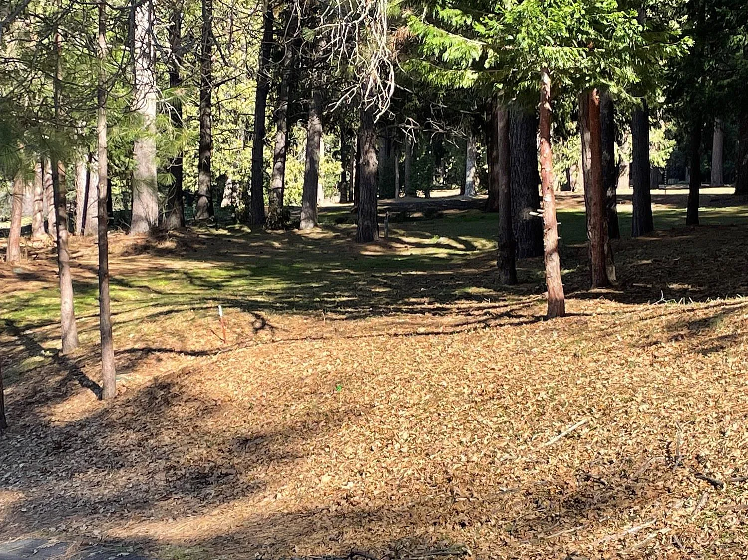 76 Foxglove Ct photo 1