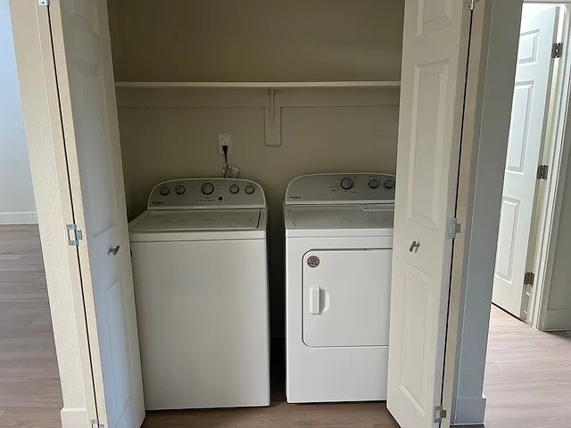 2 bed, 1000 sqft, $1,855 — Photo 4