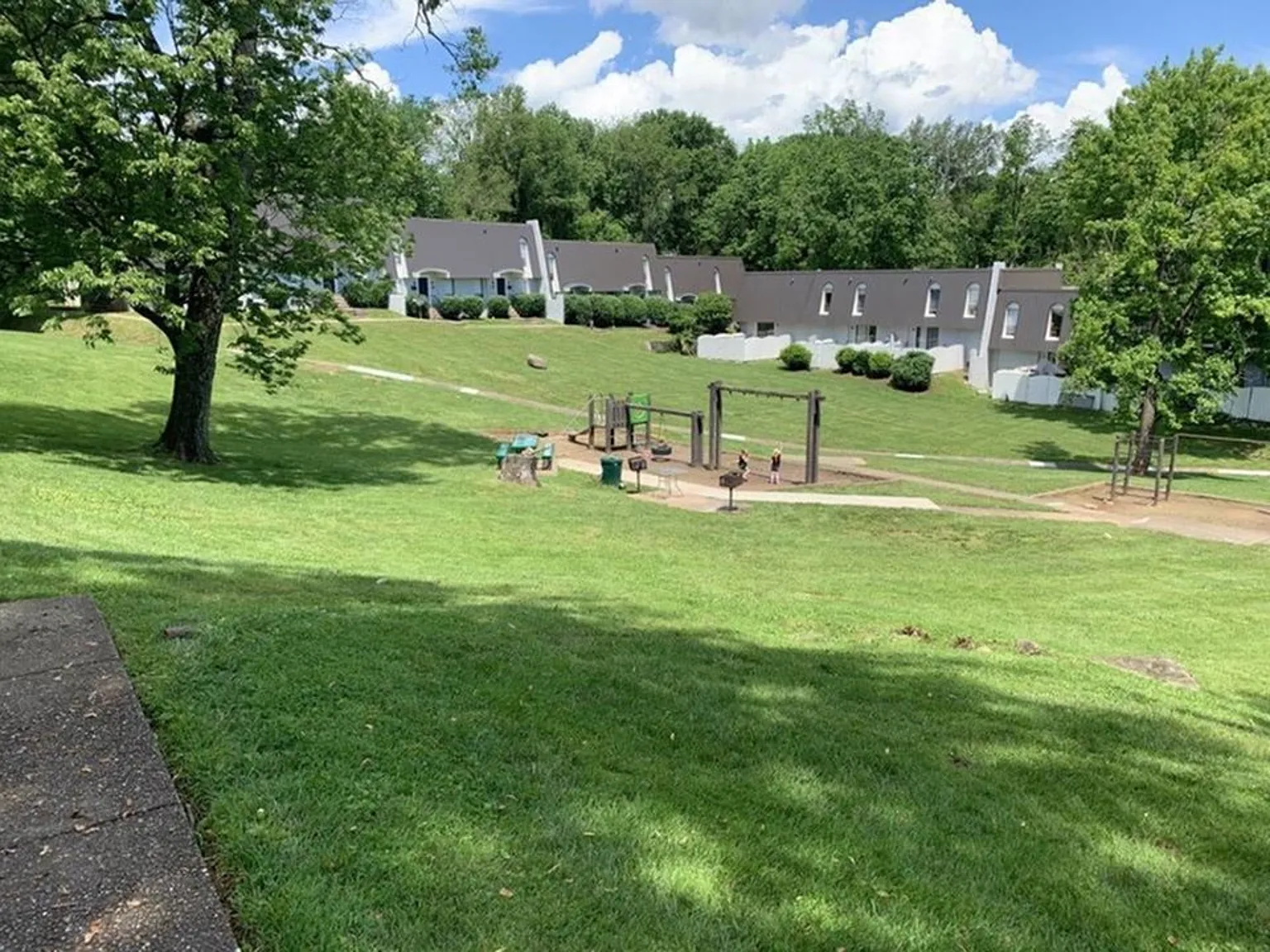 Vines at Shelby Crossing — Photo 2