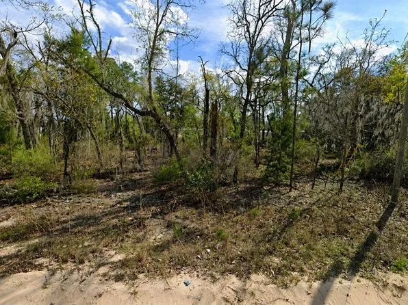 Claudia St Lot 15, Interlachen, FL 32148