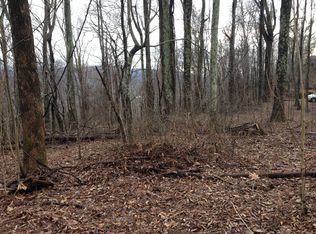 46 Little Brother Ln, Swannanoa, NC 28778