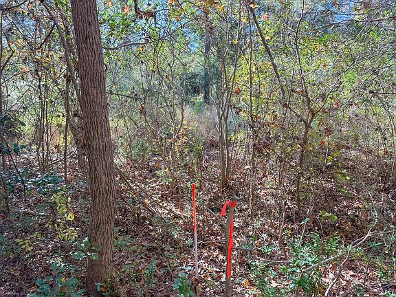 5th image of Lovely Zion Rd