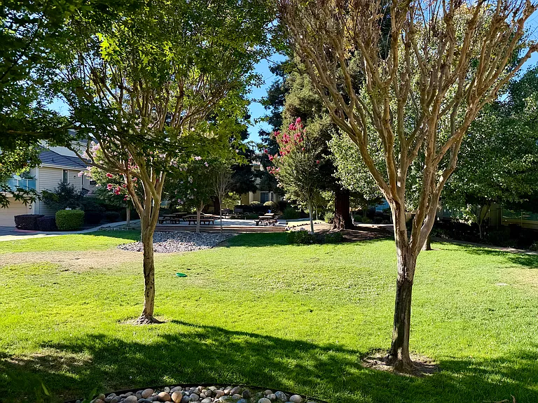Courtyard right outside unit