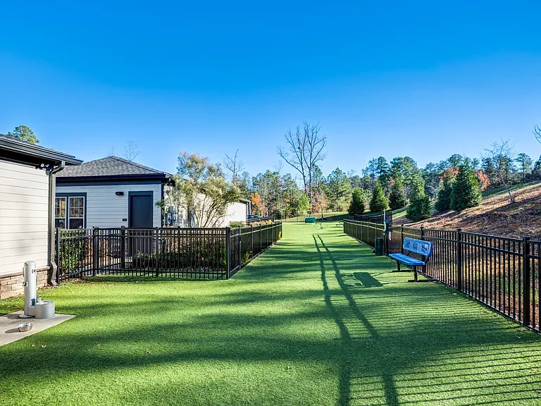 Spacious Dog Park