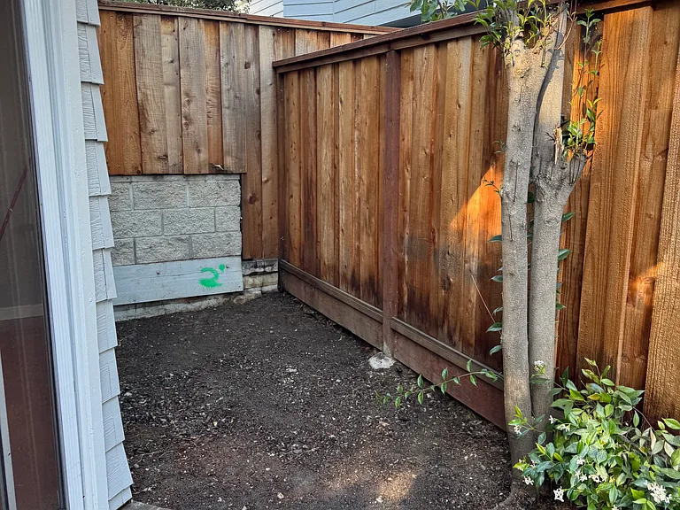 Backyard left side