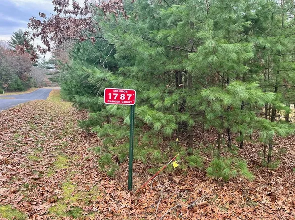 1787 Badger Court #6, Arkdale, WI 54613