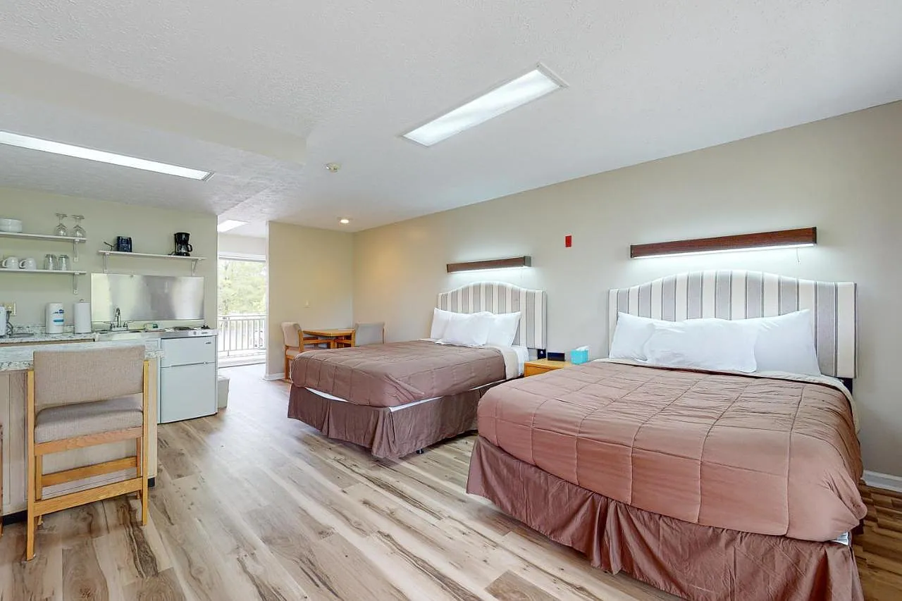 Studio, 781 sqft, $1,199 — Photo 3